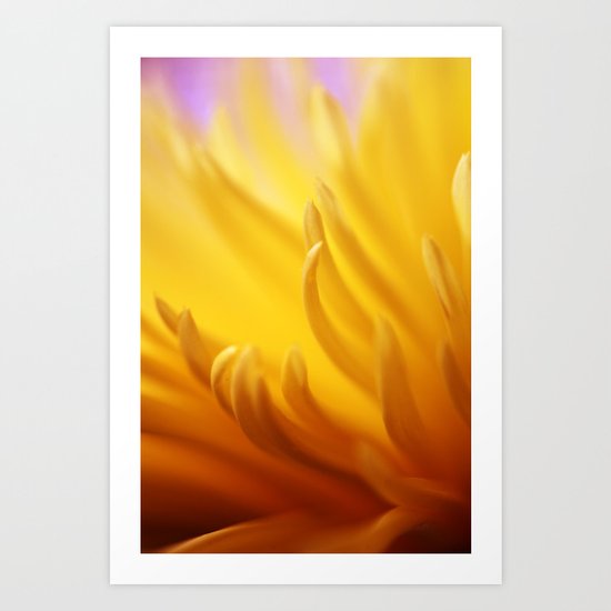 Flaming Petals Art Print