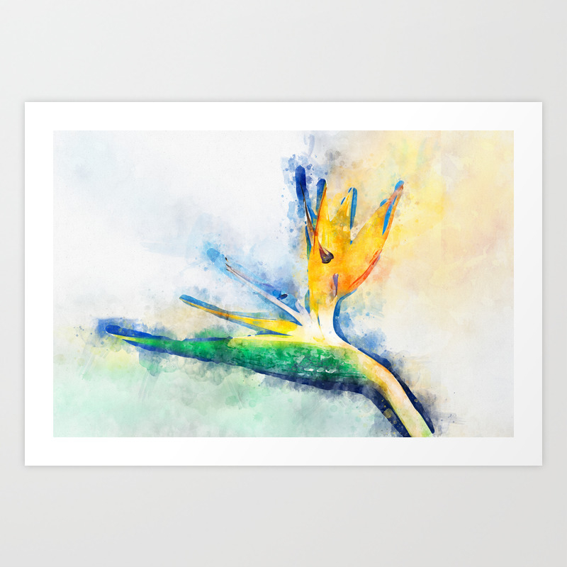 Bird Of Paradise Watercolor Art Art Print By Eveystudios Society6