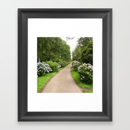 Great Britain Photography - Beautiful Trail Going Through The Park Framed Art Print
