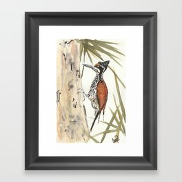Palm Woodpecker Framed Art Print