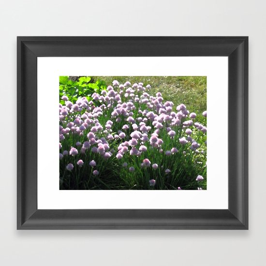 Chives Framed Art Print