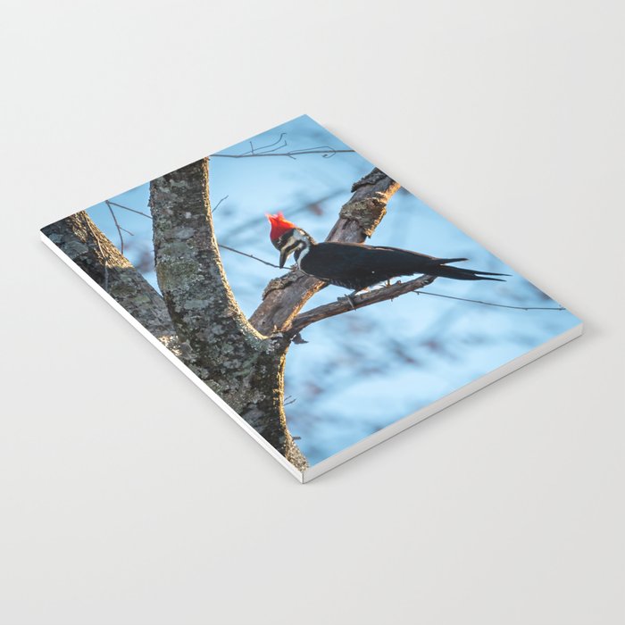 Pileated Woodpecker Notebook