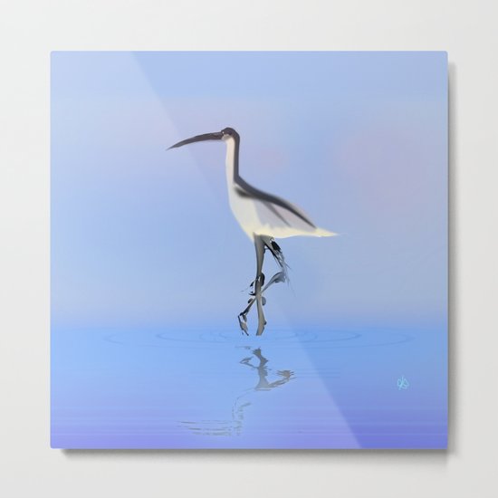 Avocet Metal Print