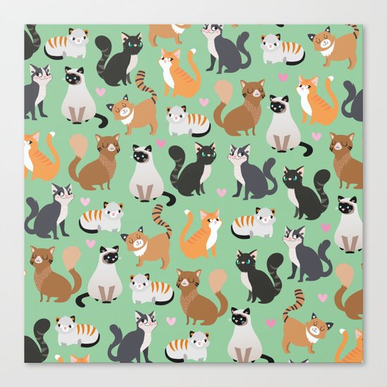 Cats cats cats Canvas Print