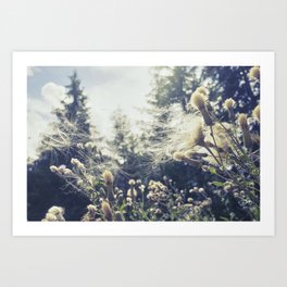 A Swirl of Thistle 2 | Nature Photography #flower #decor #art  Art Print