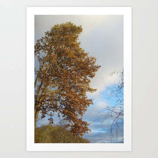 Nature Art Print