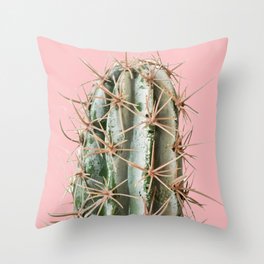Boho Mint Green and Pink Succulent Cactus Throw Pillow
