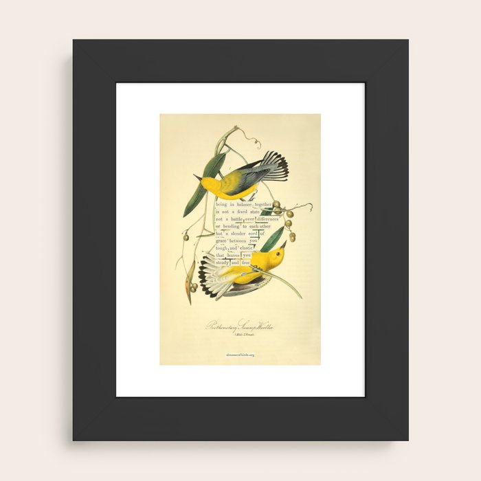 Framed Art Print