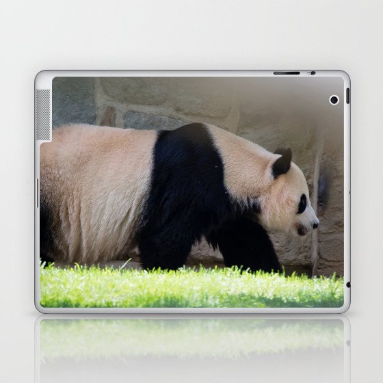Panda  Laptop & iPad Skin