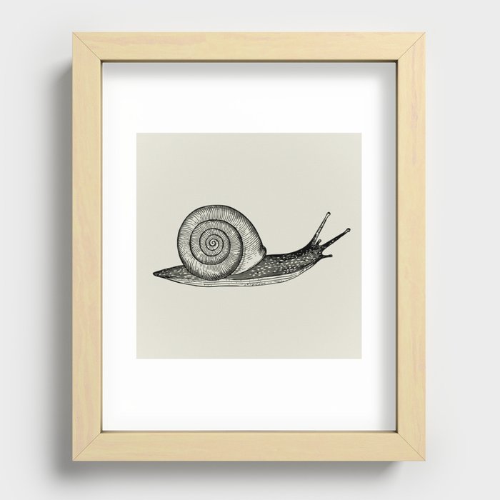 Woodcut Snail Recessed Framed Print