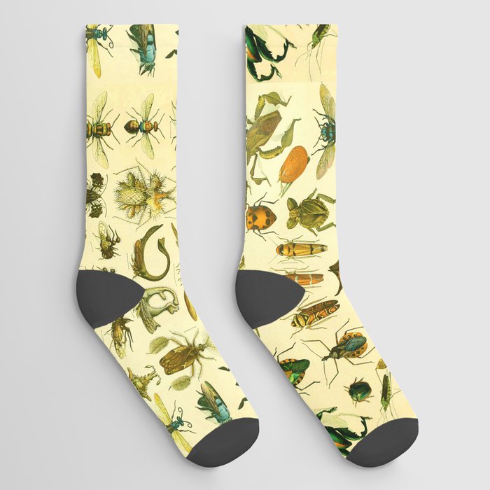 Adolphe Millot "Insectes" 3. Socks