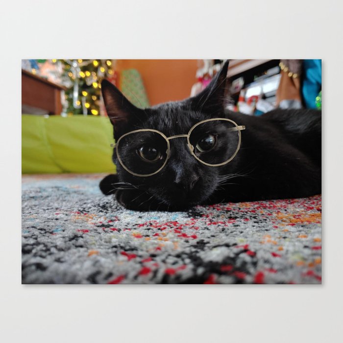 Anubus is Cool Canvas Print