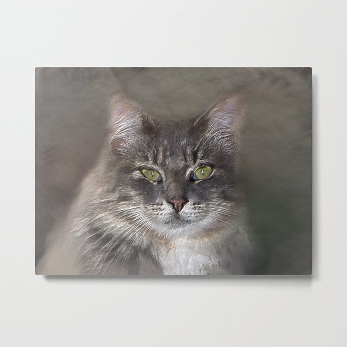 Miss Elegance cat portrait photography Metal Print