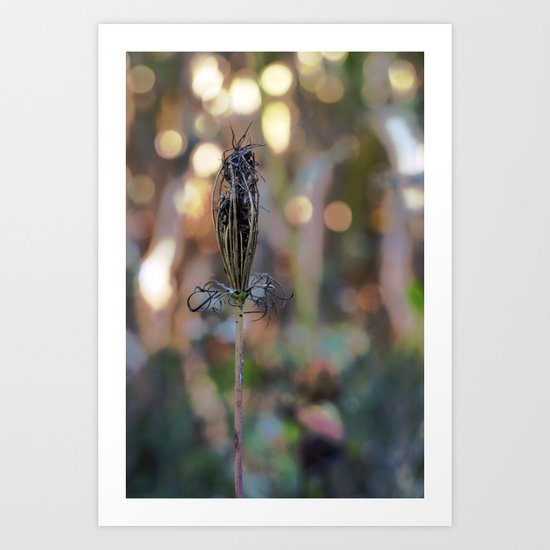 Anne Art Print