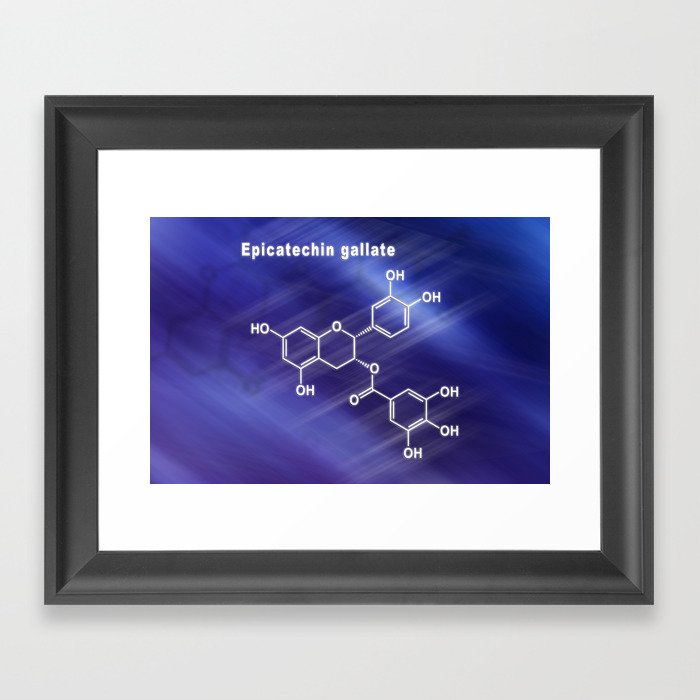 Epicatechin-gallate, Structural chemical formula Framed Art Print