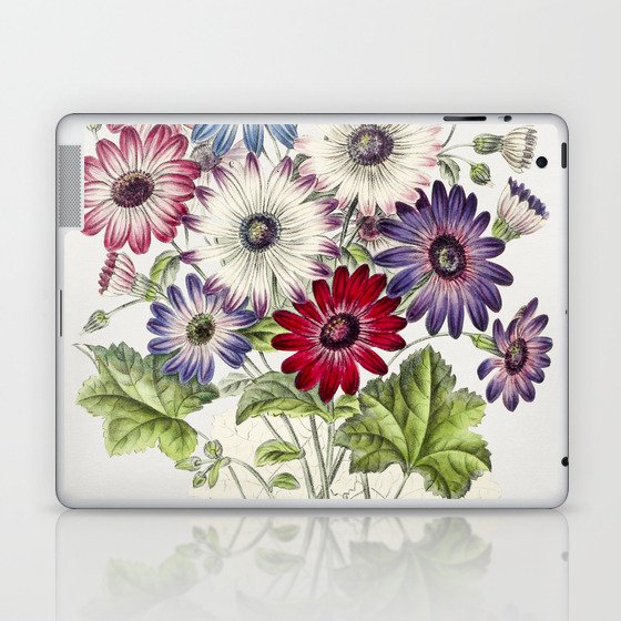 Colorful Chrysanthemums Laptop & iPad Skin