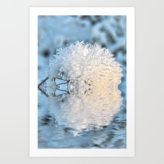 Snowball Art Print