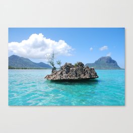 Mauritius Sea Rock Canvas Print
