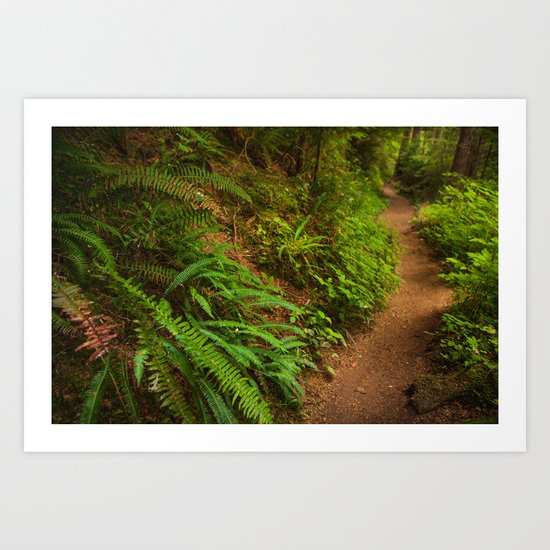 Trail through the forest Art Print