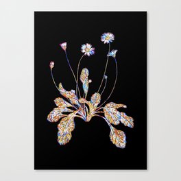 Floral Daisy Flowers Mosaic on Black Canvas Print