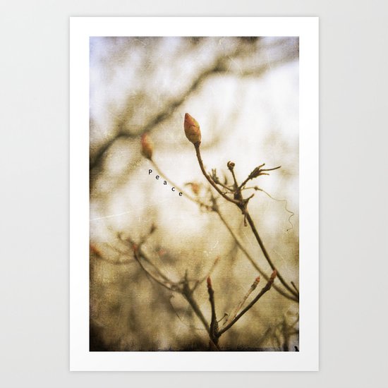 Peace Art Print