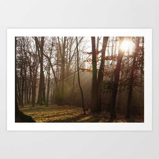 Sunlit Morning Art Print