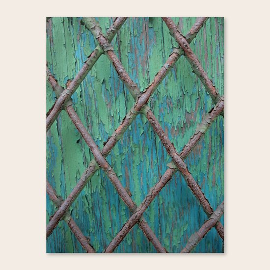 Rusty Fence Canvas Print
