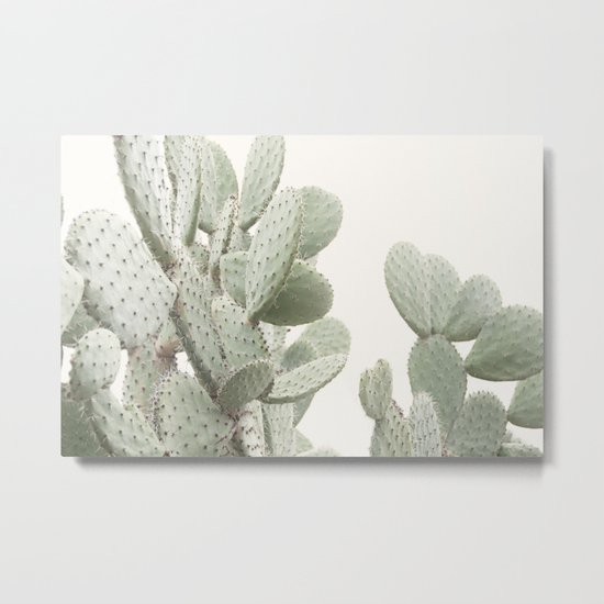 Cactus 4 Metal Print