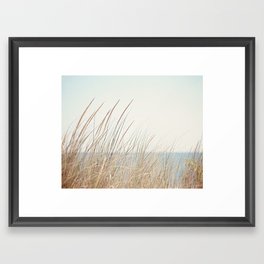 Beach Grass Photography, Calming Coastal Photo Print, Relaxing Beach House Photograph, Seaside Photo Framed Art Print