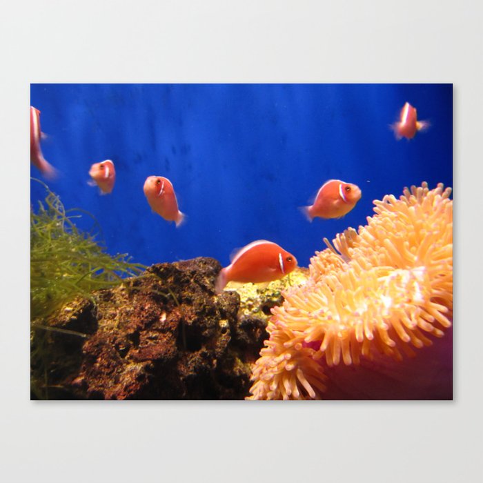 The world under the water Canvas Print