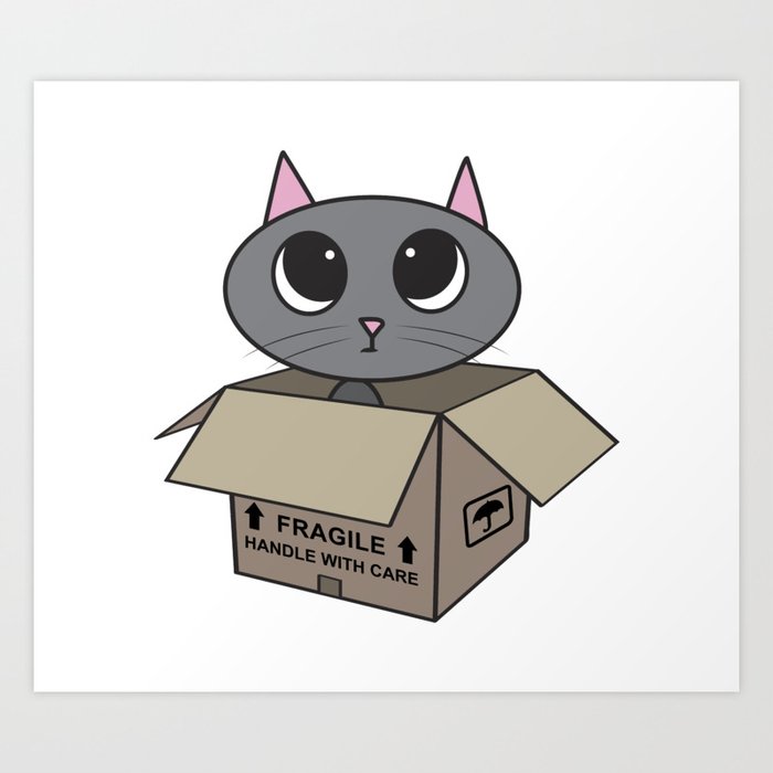 Image result for cute cat in the box