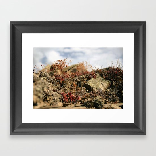 Soul Nature Framed Art Print