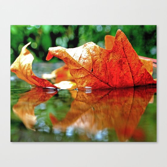 Autumn leaf reflected Canvas Print