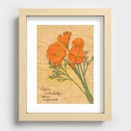 California Poppies Recessed Framed Print