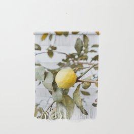 Cute lemon tree in spring | Nature photography art print | Travel photography Spain Wall Hanging