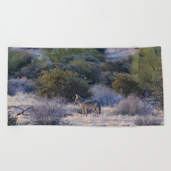 Desert Coyote Beach Towel