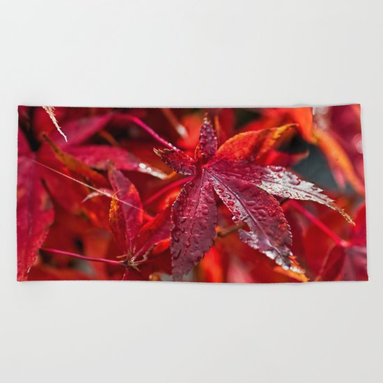 Indian summer 5 Beach Towel