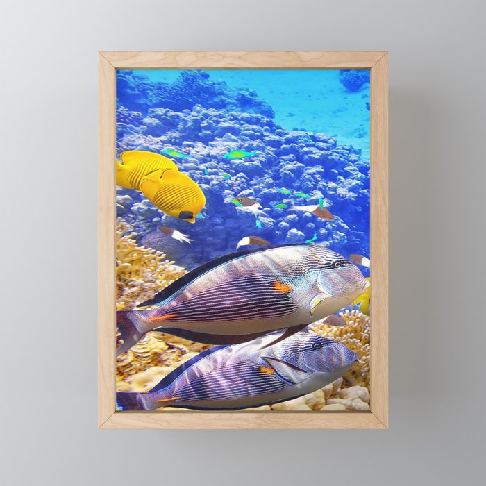 porcupine fish Framed Mini Art Print