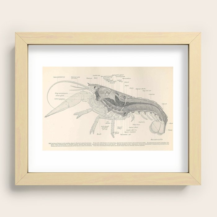 Recessed Framed Print