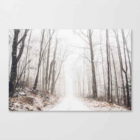 Winter path #photography #society6 Canvas Print