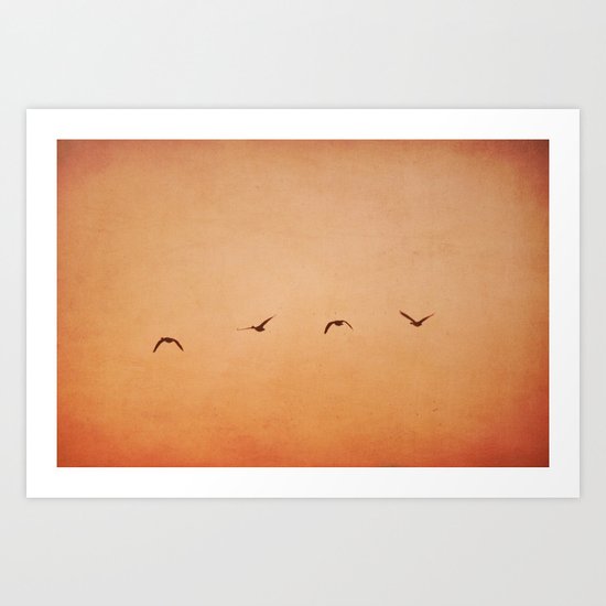into the sunset Art Print