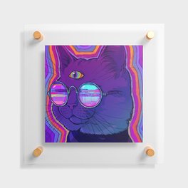 PHAZED Cat 2 Floating Acrylic Print