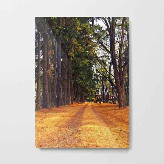 September path Metal Print