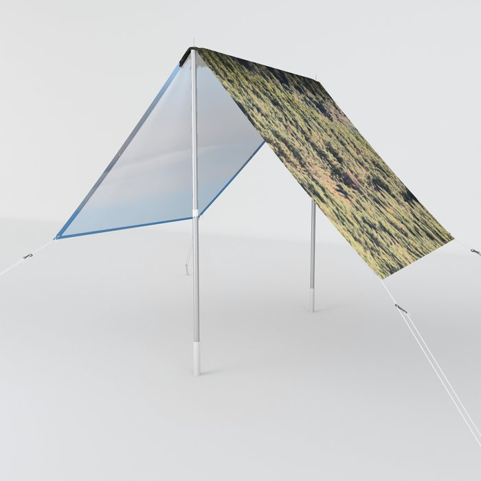 Scottish Highlands Spring Pine Forest Cloud View Sun Shade