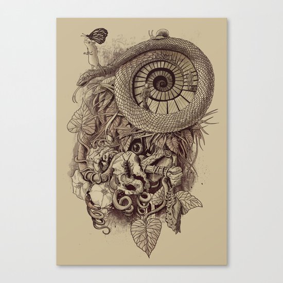 Descent Canvas Print