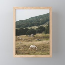 Horse | Nature and Landscape Photography Framed Mini Art Print