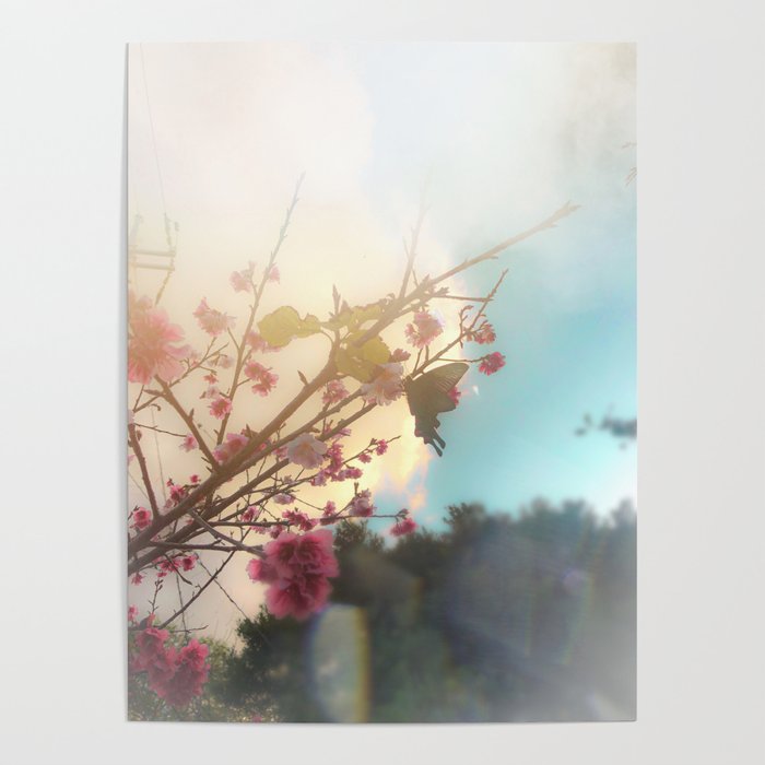 Art Poster Aesthetic Cherry Pink Flowers and Blue Sky