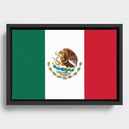 Flag of Mexico, Mexican Flag Framed Canvas