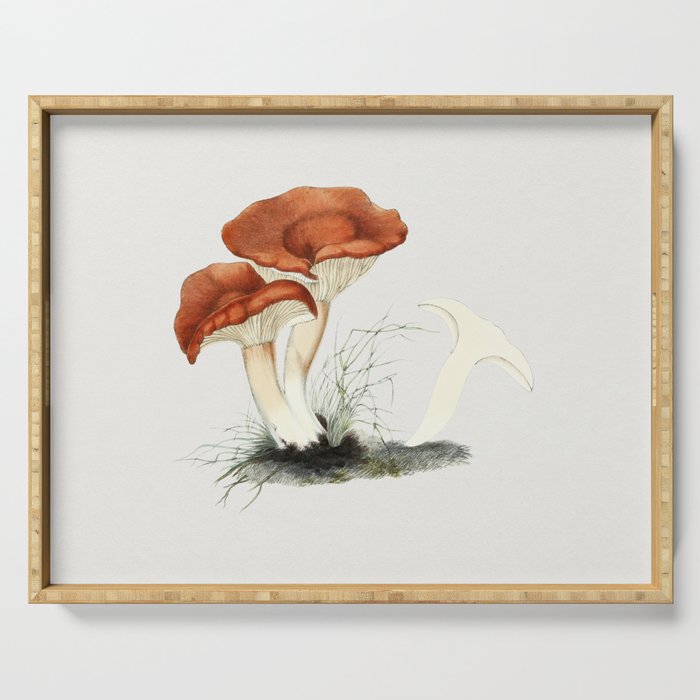 Rufous Milkcap Mushroom Serving Tray
