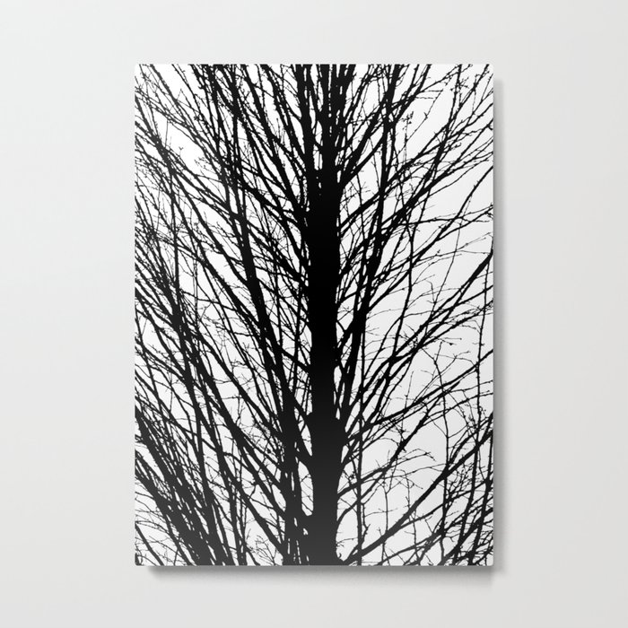 Branches 5 Metal Print